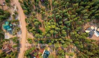 6 Co Rd 2074, Alpine, AZ 85920