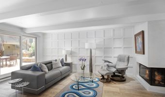 630 E Cooper Ave 2, Aspen, CO 81611