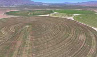 51955 Wilder Creek Rd, Denio, NV 89404