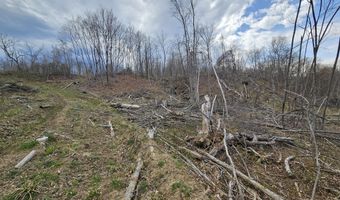 295 Shellstone Rd, Amsterdam, NY 12010