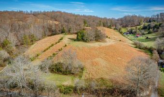 1520 Brittontown Rd, Afton, TN 37616