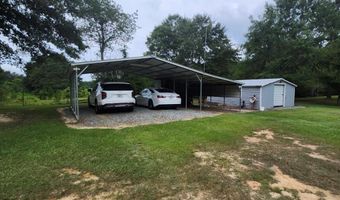 786 Blackberry Rd, Baconton, GA 31716