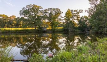 100 Acres Harmony Church Rd, Andalusia, AL 36421
