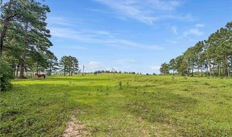 6779 County Road 215, Anderson, TX 77830