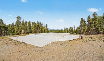 52 Meadowlake Dr, Black Hawk, CO 80422