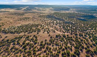 77 CR N8604, Concho, AZ 85924