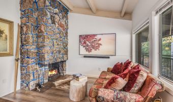 731 S Mill St 3A, Aspen, CO 81611