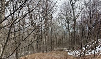 Chappell Farms N lot 5, Banner Elk, NC 28604