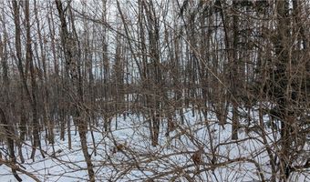 N County Highway W lot 0, Winter, WI 54896