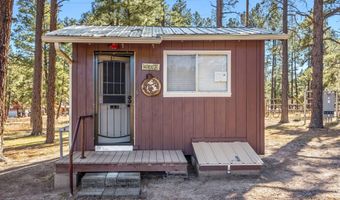 25327 Coronado Trl, Alpine, AZ 85920