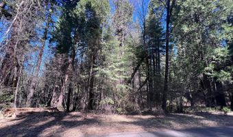 644 Arnold Byway, Arnold, CA 95223