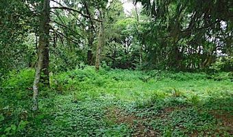 Knappa Dock RD, Astoria, OR 97103