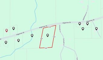 Algerine Street, Afton, NY 13730