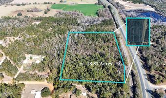 White Pond Church Road, Alford, FL 32420