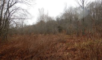 County Route 16, Angelica, NY 14709