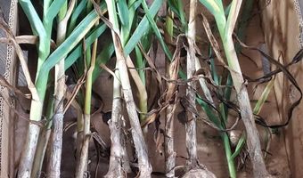 4775 S 50th Rd, Aldrich, MO 65601