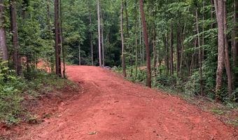230 Harmony Vly, Alto, GA 30510