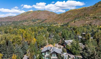 1154 E Cooper Ave B, Aspen, CO 81611