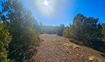 29 Co Rd 3199, Vernon, AZ 85940