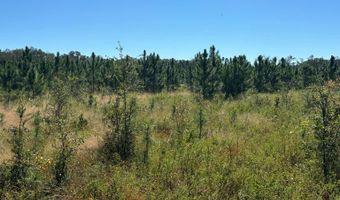 Lot 1 50th Ave, Bell, FL 32619