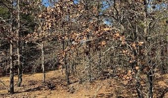 TBD Rural Atoka, Atoka, OK 74525