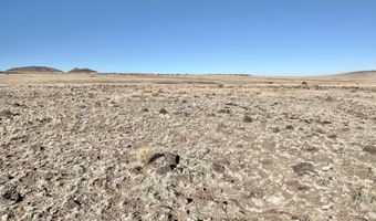 N3443, Concho, AZ 85924