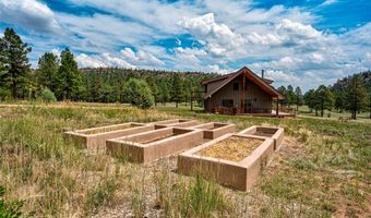 115 Blue Deer Ranch Road B-109, Buena Vista, NM 87712