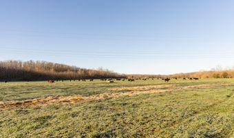 Farm Road 2007, Aurora, MO 65605