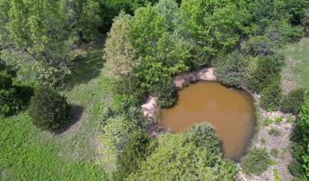 12459 County Road 5-402, Ava, MO 65608