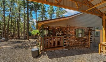 23251 Elk Trl, Aguilar, CO 81020