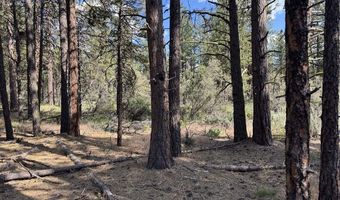 Thunderbear Road 46, Bonanza, OR 97623