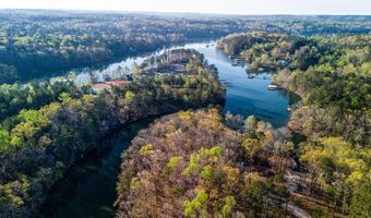 LOT 9 SHORESIDE AT SIPSEY, Double Springs, AL 35553