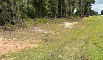 0 Newton Rd, Bainbridge, GA 39817