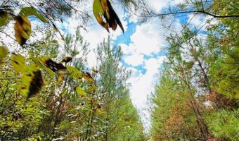 644 Ash-harrel Loop, Abbeville, GA 31001