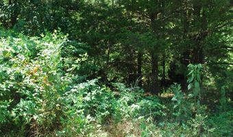 Lot 6 Scalloway DR, Bella Vista, AR 72715