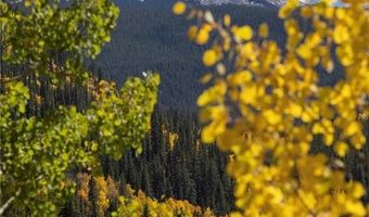 1139 BOREAS PASS Rd, Breckenridge, CO 80424