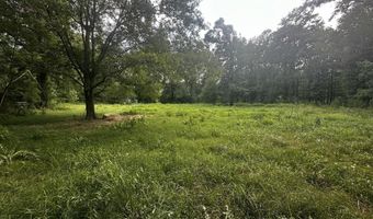 137 Shorter Rd, Braxton, MS 39044