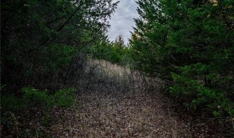 Tract 4 Acme RD, Asher, OK 74826