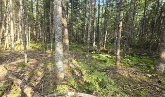 Cummings Lane, Acton, ME 04468