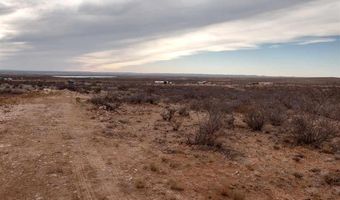 Lot 6 Illinois Camp Road, Carlsbad, NM 88220