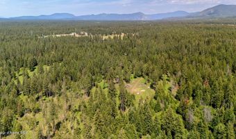 24805 N Cedar Mountain Rd, Athol, ID 83801