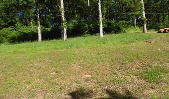 ADAM Loop, Bath Springs, TN 38311