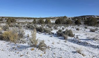 ROAD 2772, Aztec, NM 87410