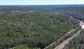 2 Robinsonville Rd, Atmore, AL 36502