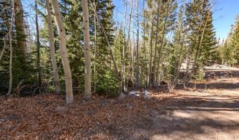 271 E Deer Trl, Brian Head, UT 84719