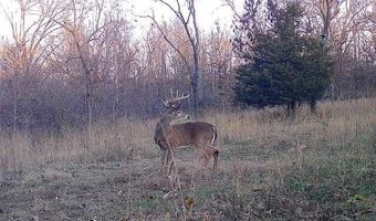 14 5 Neil Robinson Rd, Anderson, MO 64831