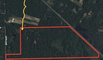 Dover Drive lot 3 +/- 87 Ac, Adams, WI 53910