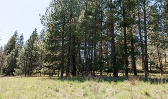 37 Red Tail Rdg, Bigfork, MT 59911