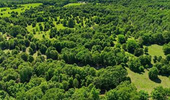 210 County Road 320, Alton, MO 65606