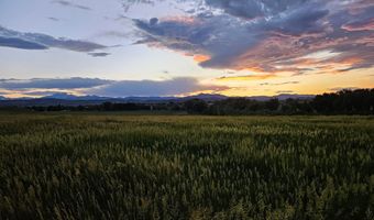 Levity Way, Berthoud, CO 80513